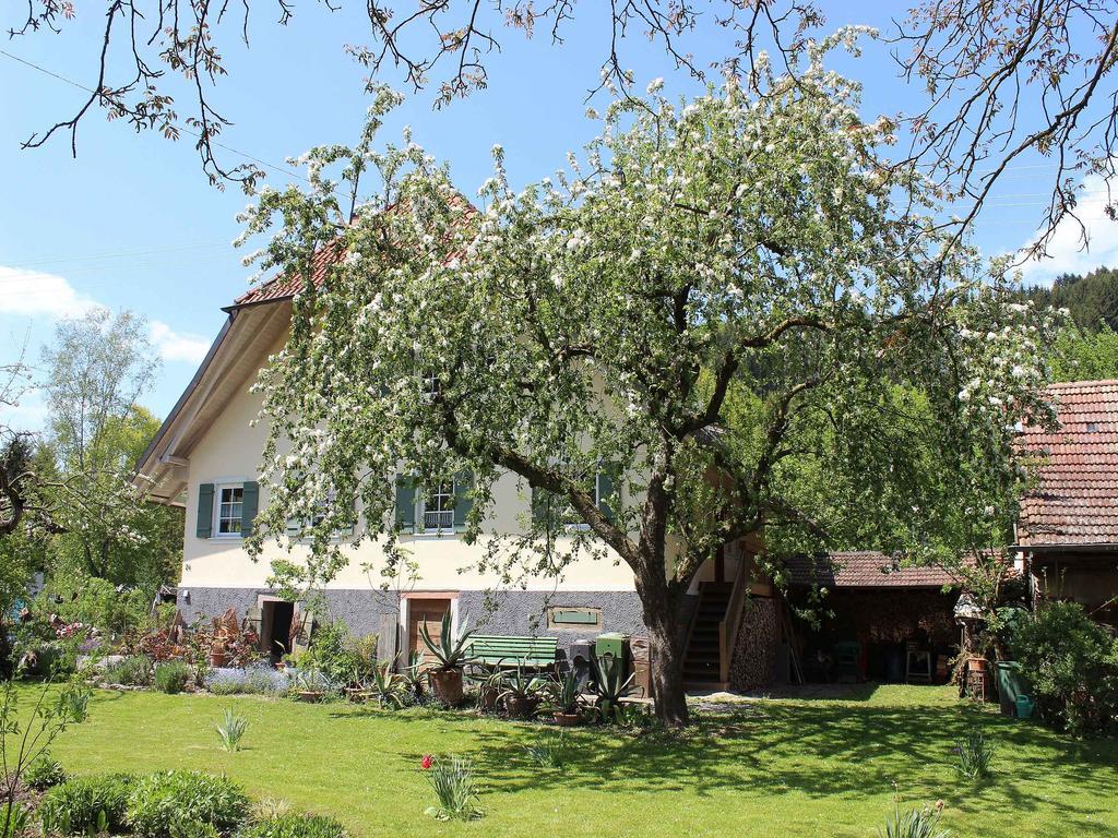 Апартаменти Haus Am Bach Steinach  Екстер'єр фото