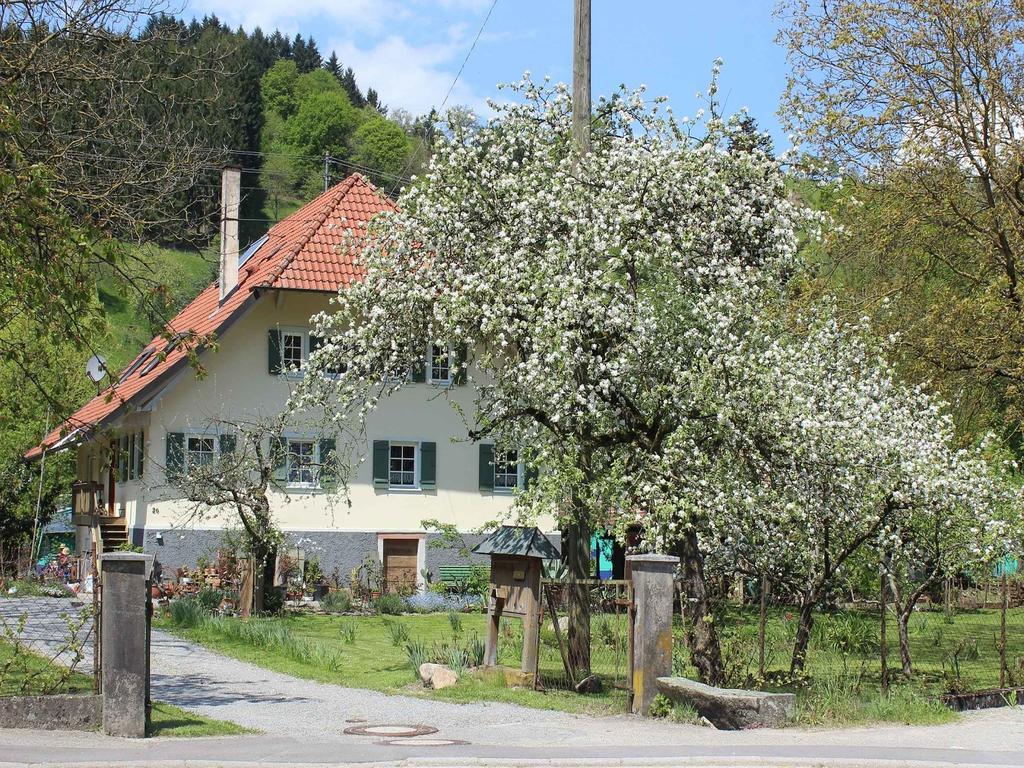 Апартаменти Haus Am Bach Steinach  Екстер'єр фото